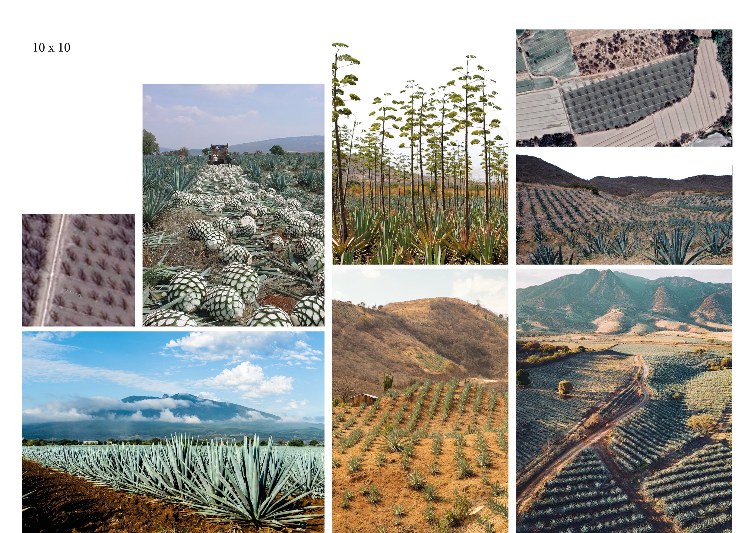 Parallel Landscapes grid